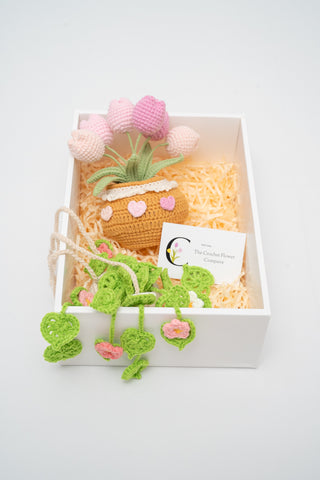 Gift Set 1