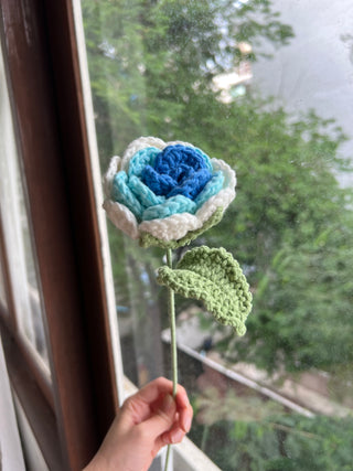 Garden Rose (Ombré)