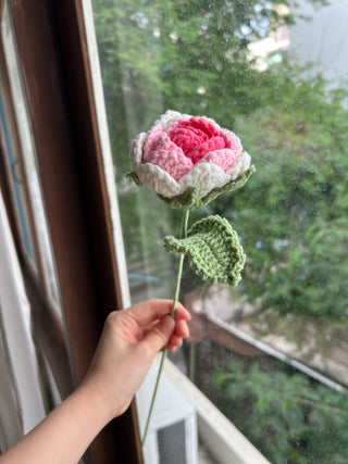 Garden Rose (Ombré)