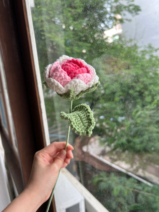 Garden Rose (Ombré)