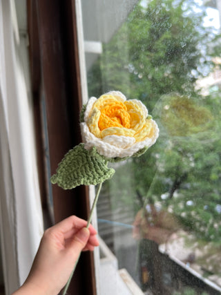 Garden Rose (Ombré)