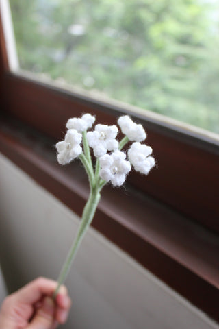 Baby's Breath (White)