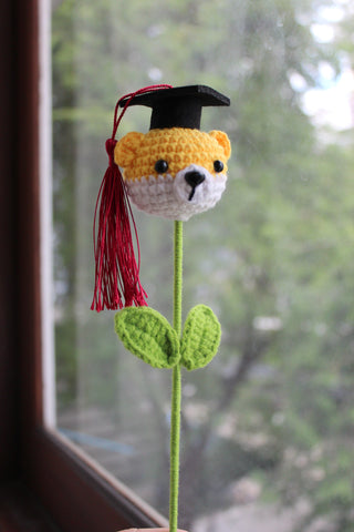 Graduate Bear