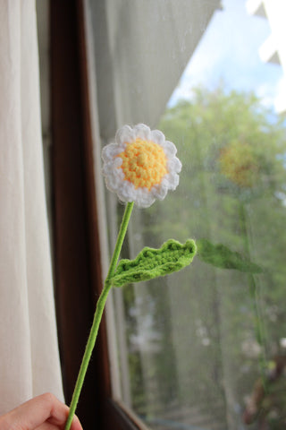 Small Daisy