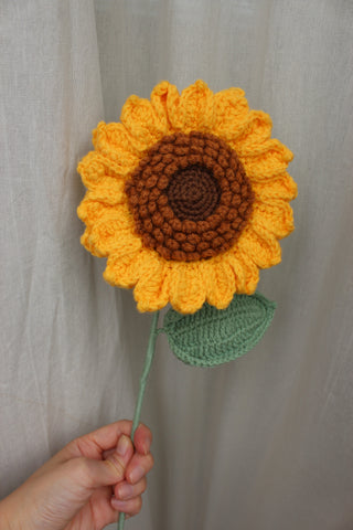 Sunflower - Traditional
