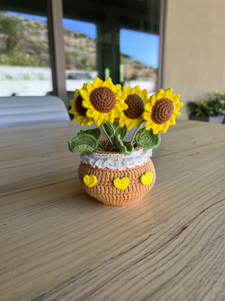 Sunflower Potted Plant