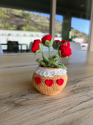 Red Potted Roses