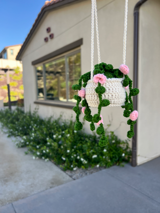 Cherry Flower Small Hanging House Plant