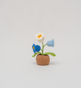 Mixed Blue | Lily of the Valley | Petite Potted Plant