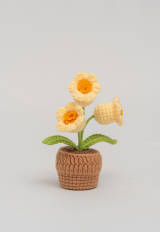 Yellow | Lily of the Valley | Petite Potted Plant