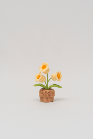 Yellow | Lily of the Valley | Petite Potted Plant